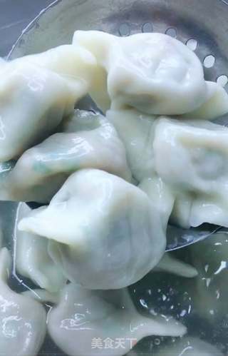 韭菜猪肉水饺的做法步骤:14