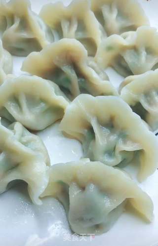 韭菜猪肉水饺的做法步骤:15