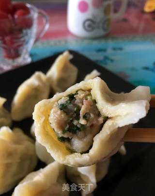 灰菜肉饺的做法步骤:13