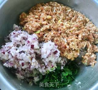 圆葱鲜肉水饺的做法步骤:6