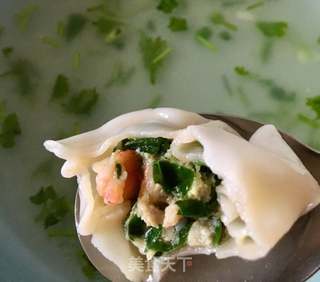 鲜虾馄饨的做法步骤:13