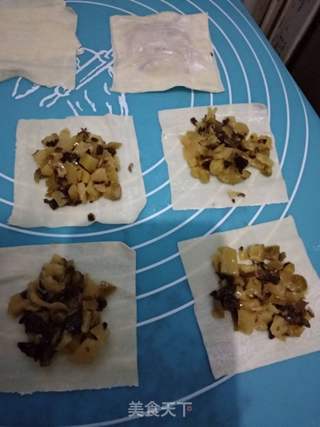脆皮馄饨的做法步骤:4