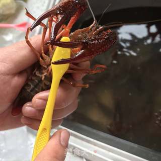麻辣小龙虾！的做法步骤：1