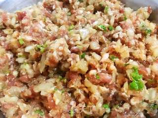 圆葱鲜肉馄饨的做法步骤:5