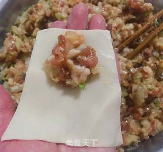 圆葱鲜肉馄饨的做法步骤:6