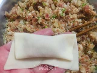 圆葱鲜肉馄饨的做法步骤:7