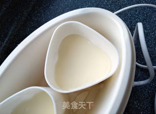 自制新西兰蜂蜜酸奶的做法步骤:8