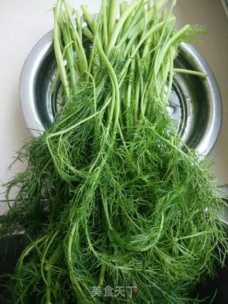 茴香猪肉饺子的做法步骤:6