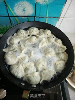茴香猪肉饺子的做法步骤:12