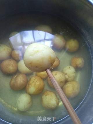 麻辣小土豆的做法步骤：3