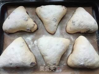 蔓越莓奶酪软欧的做法步骤:16