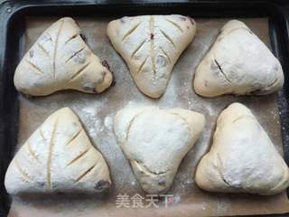 蔓越莓奶酪软欧的做法步骤:17