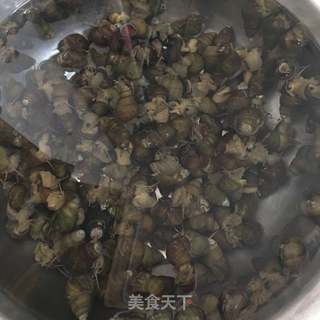 炒田螺的做法步骤:2