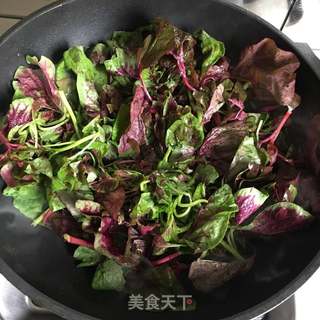 蒜泥苋菜的做法步骤：4