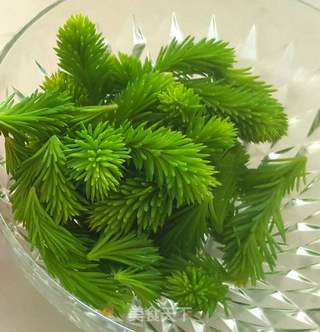 松芽苹果饮的做法步骤:2