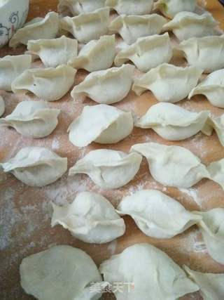酸菜猪肉水饺的做法步骤:12