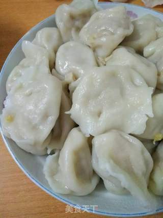 酸菜猪肉煎饺的做法步骤：12