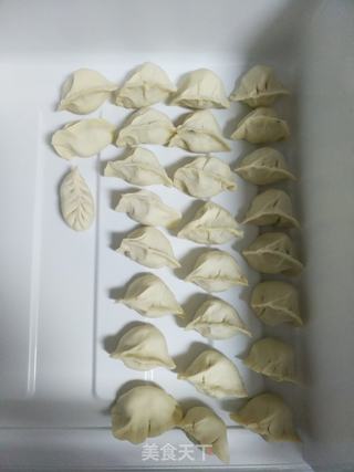 素三鲜水饺的做法步骤:8