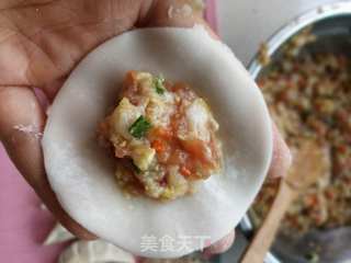 白菜猪肉蒸饺的做法步骤:9
