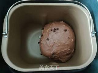 柠香可可软欧的做法步骤:7