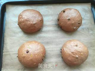 柠香可可软欧的做法步骤:13