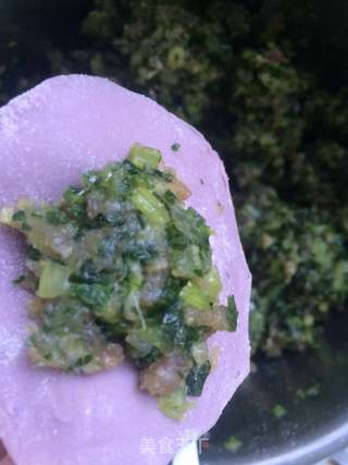 芹菜饺子的做法步骤:10