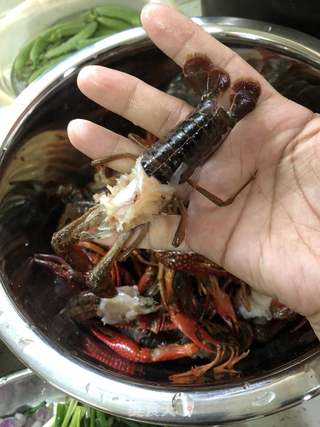 香辣小龙虾的做法步骤:2