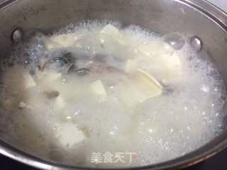 鲫鱼豆腐汤的做法步骤:7