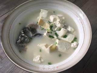 鲫鱼豆腐汤的做法步骤:9