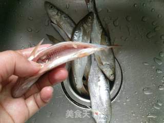 香辣小河鱼的做法步骤:3