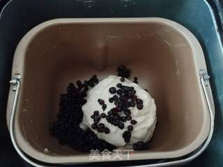 蓝莓餐包的做法步骤:6