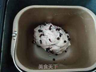 蓝莓餐包的做法步骤:7