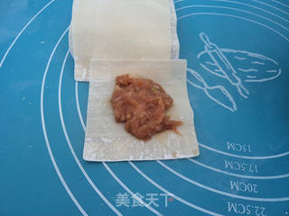 鲜肉蒸馄饨的做法步骤:4
