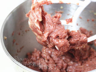 长帝炫彩CRTF32WBL烤箱试用报告--蜜汁猪肉脯的做法步骤:5