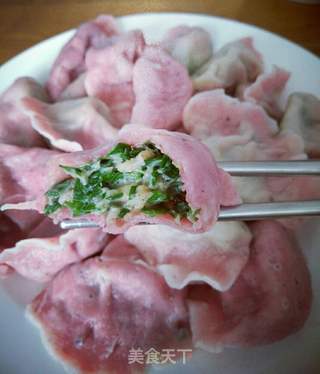 火龙果彩色饺子的做法步骤:15