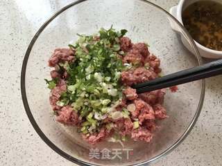 白菜牛肉包的做法步骤：2