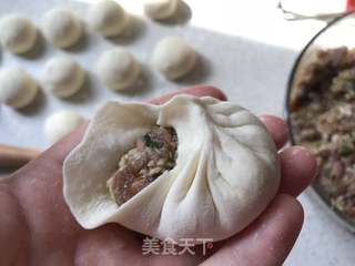 白菜牛肉包的做法步骤:16