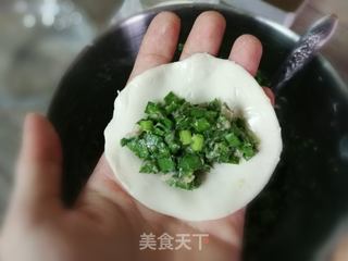 韭菜猪肉饺子的做法步骤:9