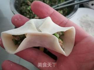 韭菜饺子的做法步骤:12