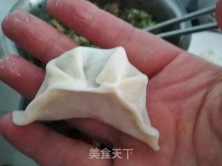 韭菜饺子的做法步骤:13