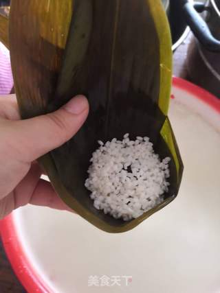 蜜豆蜜枣粽的做法步骤:10