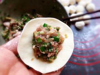 鲅鱼饺子的做法步骤:8