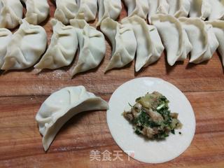 猪肉土豆泥饺子的做法步骤:6
