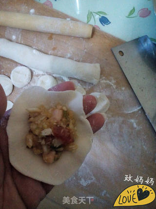 白菜饺子的做法步骤:10