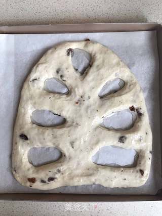 叶形提子烤饼的做法步骤:8