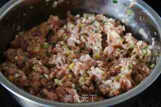 荠菜猪肉馅煎饺的做法步骤:4