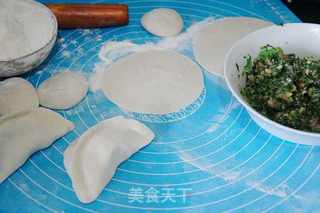 荠菜猪肉馅煎饺的做法步骤:6