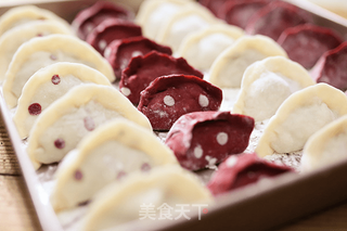 浮雕波点饺子的做法步骤:13