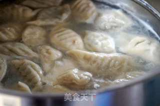 酸菜猪肉馅水饺的做法步骤:8