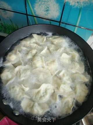 黄瓜鸡蛋虾仁水饺的做法步骤:8